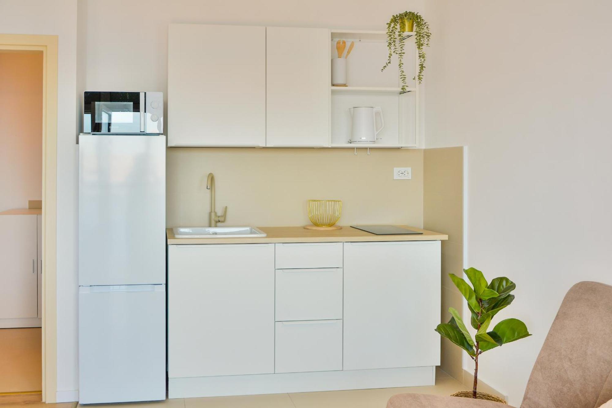 Apartman Elena 塞尼 外观 照片